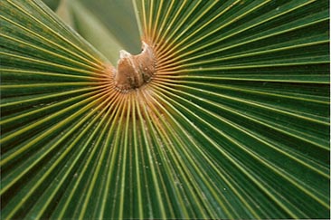 Zum Vergr��ern klicken